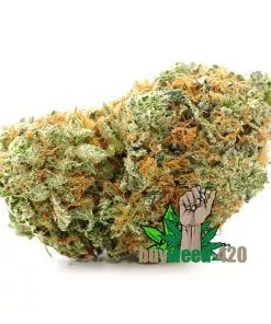 Indica Marijuana Strain